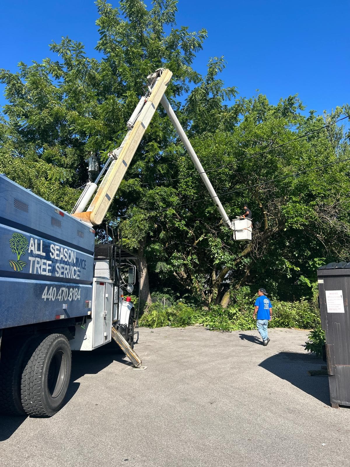 Storm Cleanup — Lakewood