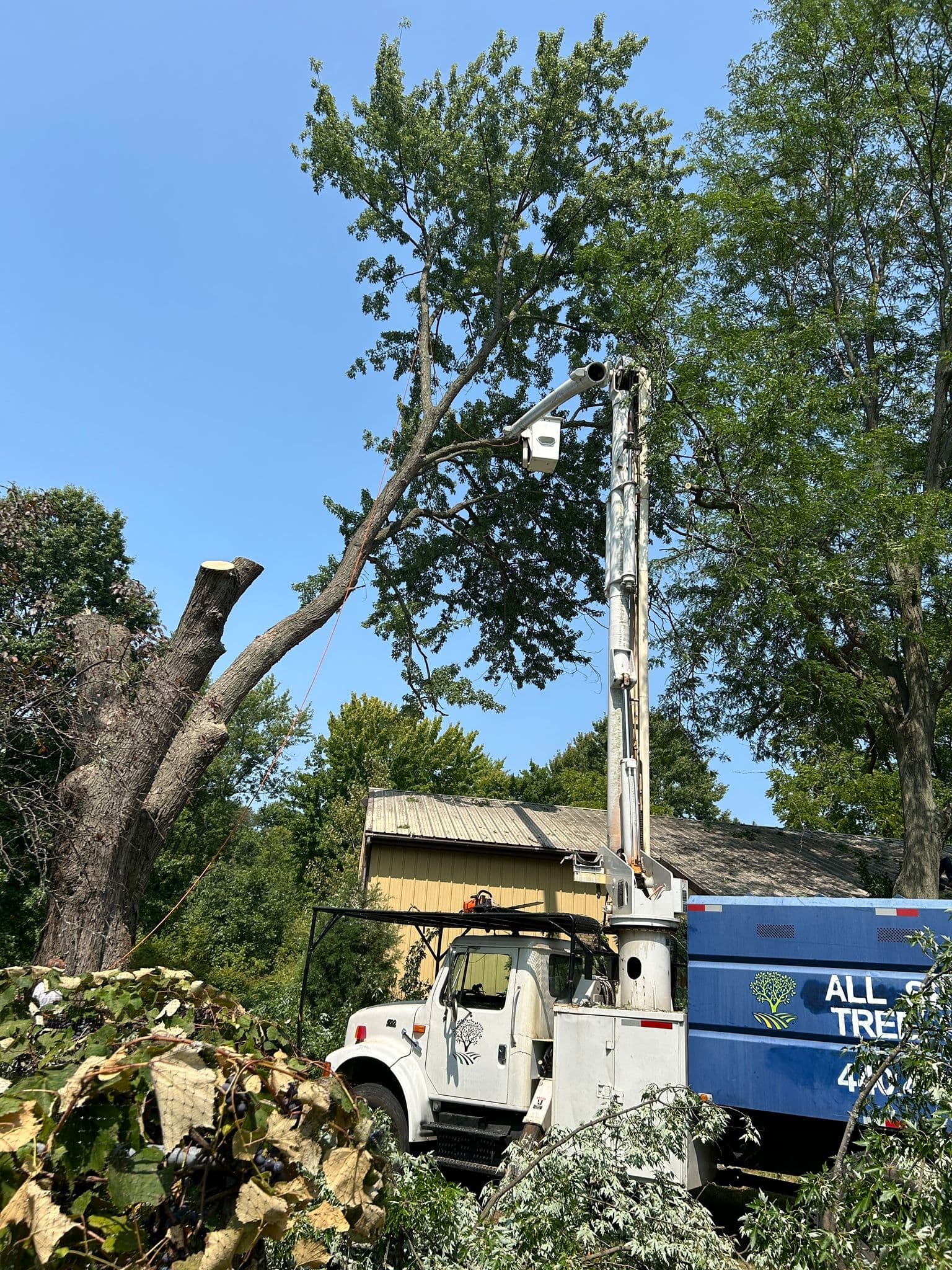 Safe Removal — Bay Village