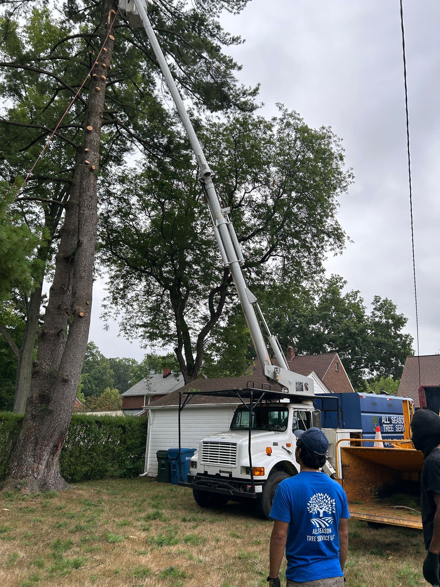 Yard Restoration — Westlake