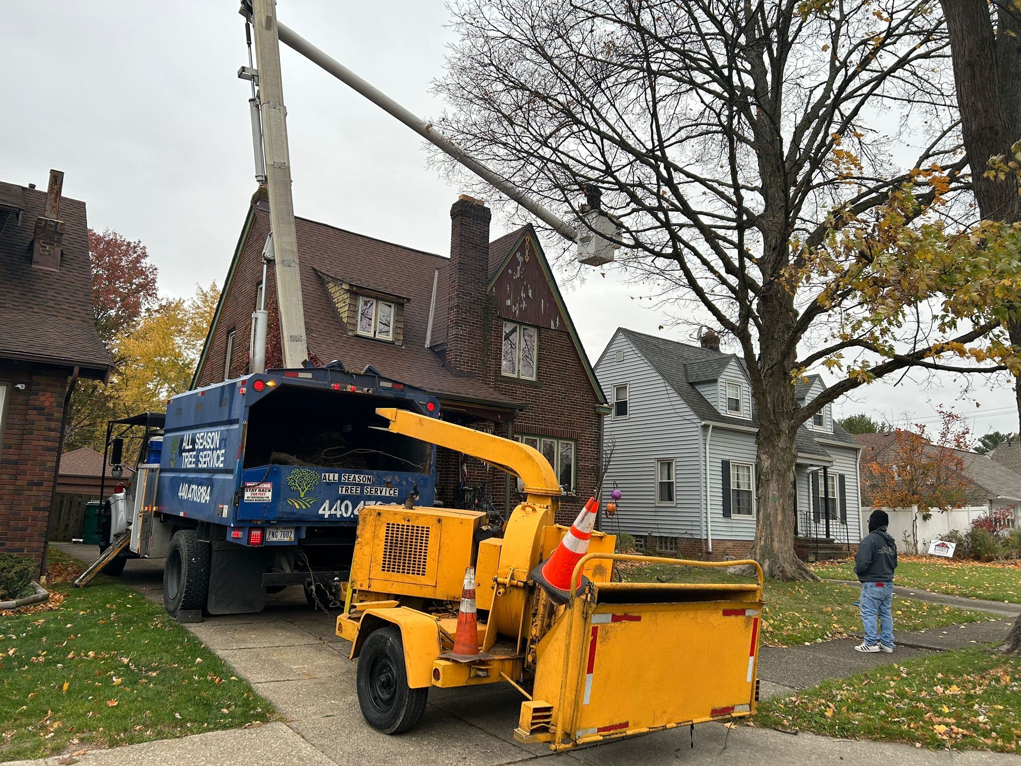 Oak Removal — West Park