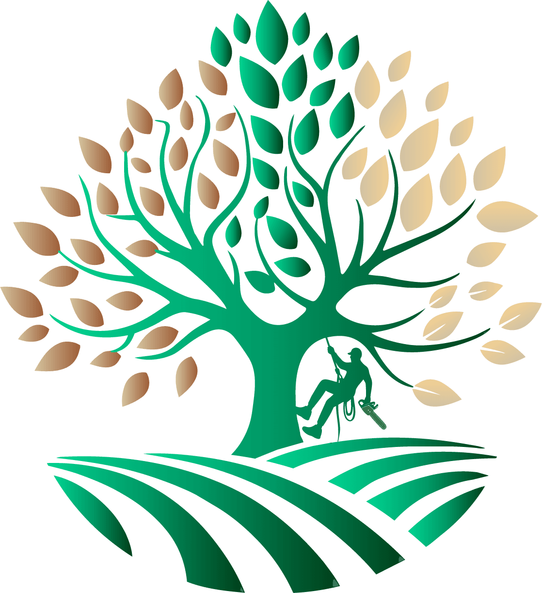 All Season Tree Service Watermark