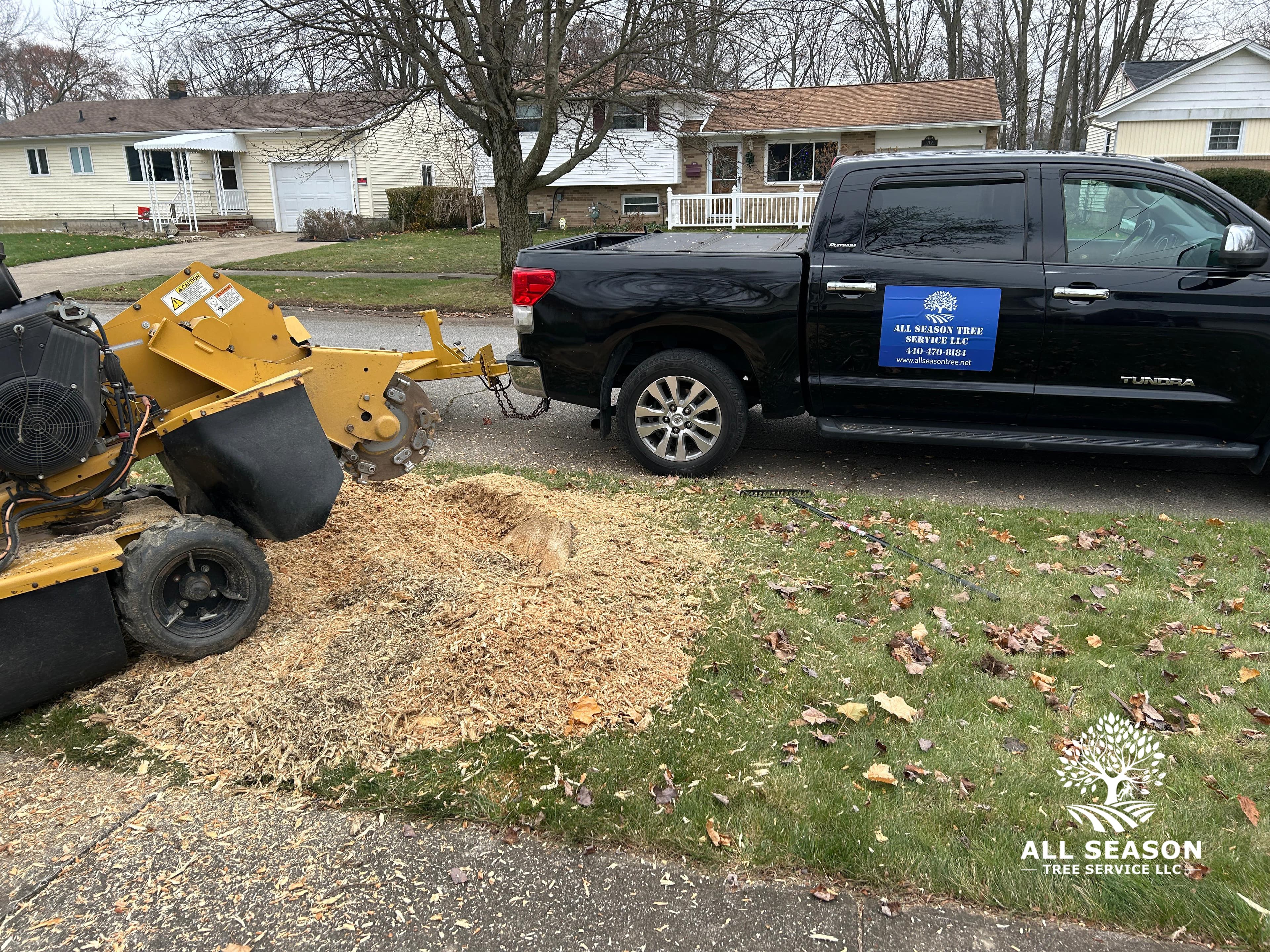 Lot Clearing — Twinsburg