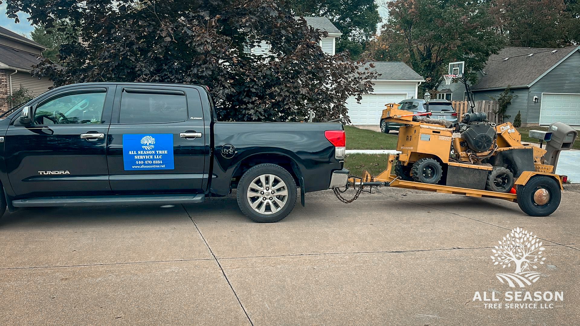 Aftermath of a clean tree removal